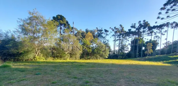 Terreno / Lote / Condomínio à venda, 1060m² no Rondinha, Campo Largo