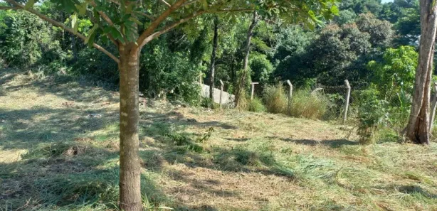 Terreno / Lote / Condomínio à venda, 2496m² no Vista Alegre, Vinhedo