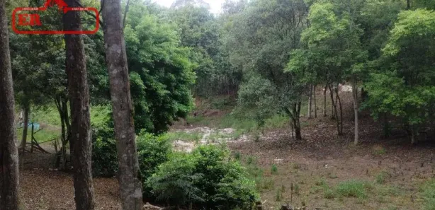 Fazenda / Sítio / Chácara com 2 Quartos à venda, 9450m² no Santa Gema, Colombo
