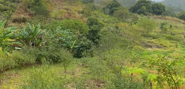 Fazenda / Sítio / Chácara à venda, 1887m² no , Rio Bonito