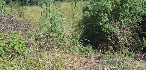 Terreno / Lote / Condomínio à venda, 574m² no Castelanea, Petrópolis
