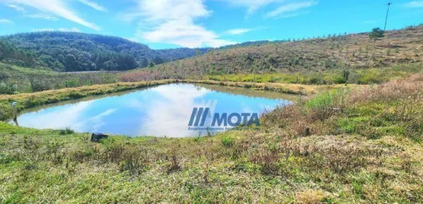 Fazenda / Sítio / Chácara com 3 Quartos à venda, 500m² no Borda do Campo, São José dos Pinhais