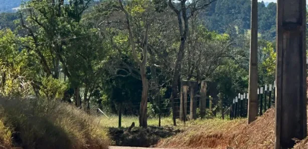 Fazenda / Sítio / Chácara à venda, 1000m² no Cocais, Ibiúna