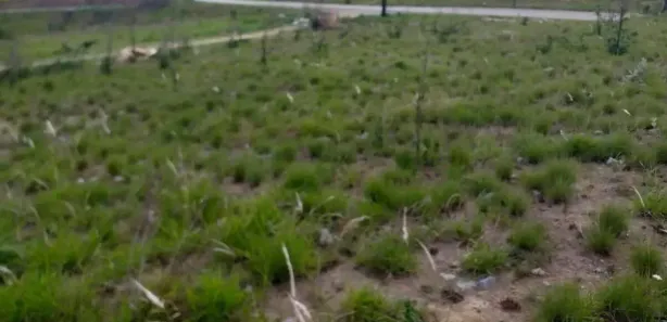 Terreno / Lote / Condomínio com 1 Quarto à venda, 77500m² no Dona Catarina, Mairinque