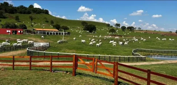 Terreno / Lote Comercial à venda, 1766600m² no Uraí, Uraí