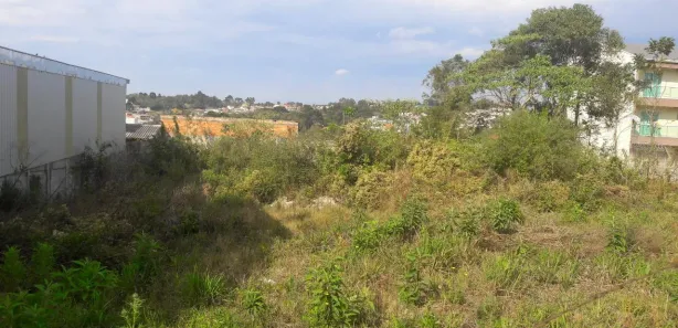 Terreno / Lote / Condomínio à venda, 1193m² no Campina do Arruda, Almirante Tamandaré