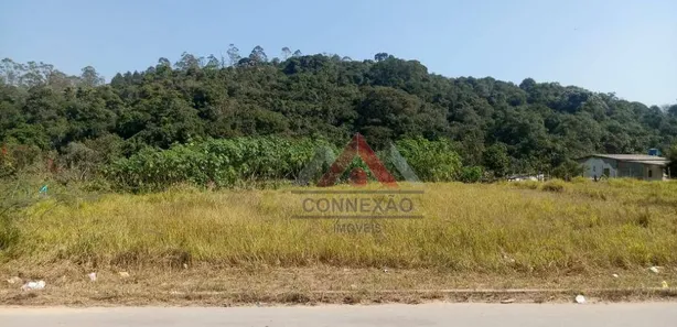 Terreno / Lote / Condomínio à venda, 8000m² no Vila São Pedro, Suzano