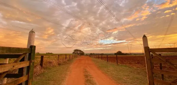Fazenda / Sítio / Chácara com 5 Quartos à venda, 121000m² no Recreio Campestre Idanorma, Araraquara