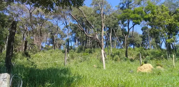 Fazenda / Sítio / Chácara à venda, 53250m² no Estacao de Moreiras, Mairinque