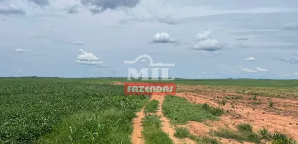 Fazenda / Sítio / Chácara à venda, 20000m² no , Pedro Afonso