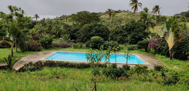 Fazenda / Sítio / Chácara com 3 Quartos à venda, 100000m² no Área Rural de Vitória do Santo Antão, Vitória de Santo Antão