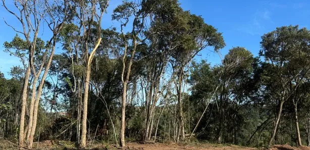 Terreno / Lote / Condomínio à venda, 1000m² no Saboó, São Roque