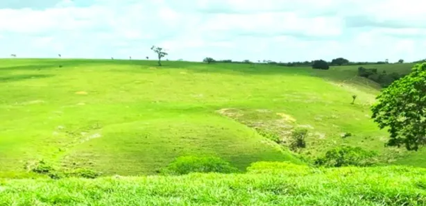 Fazenda / Sítio / Chácara à venda, 586000m² no Centro, Nossa Senhora das Dores