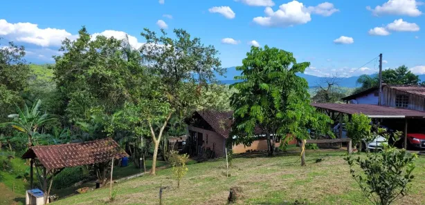 Fazenda / Sítio / Chácara com 3 Quartos à venda, 100000m² no Antonina, Antonina