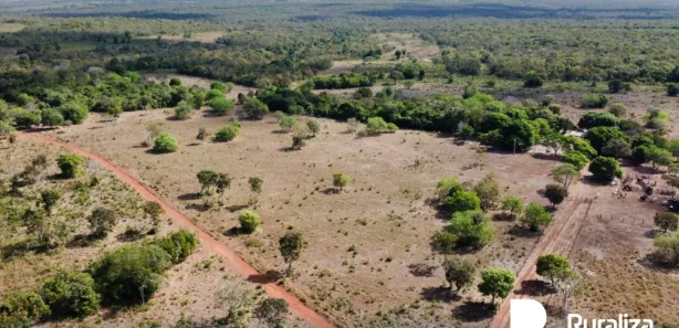 Fazenda / Sítio / Chácara à venda, 430m² no , Pium