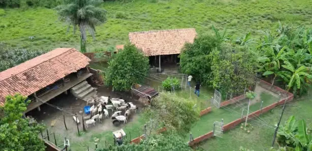 Fazenda / Sítio / Chácara com 4 Quartos à venda, 12000000m² no Centro, Altos