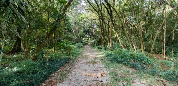 Fazenda / Sítio / Chácara à venda, 31500m² no Guarani, Colombo