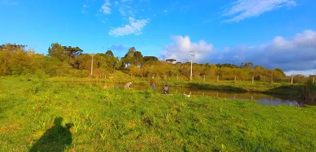 Fazenda / Sítio / Chácara à venda, 32800m² no , Tijucas do Sul
