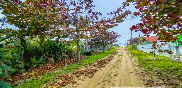 Terreno / Lote / Condomínio à venda, 300m² no Praia do Ervino, 