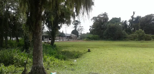 Terreno / Lote / Condomínio à venda, 94095m² no Alexandra, Paranaguá
