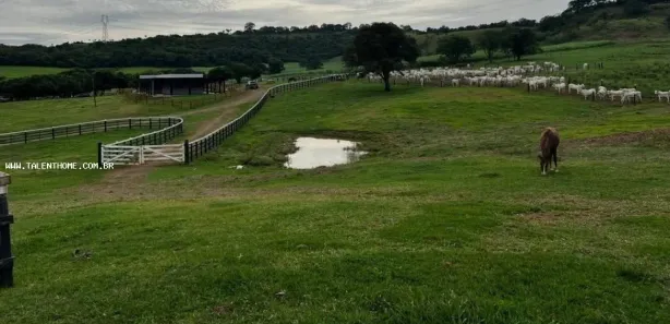 Terreno / Lote Comercial à venda, 1766600m² no Uraí, Uraí