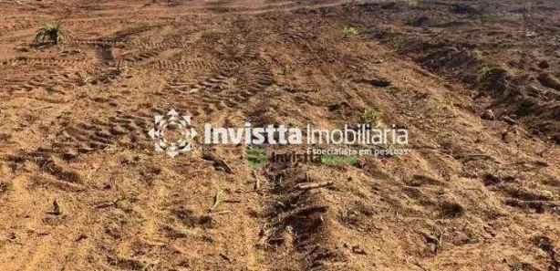 Fazenda / Sítio / Chácara à venda, 169m² no Centro, Pium