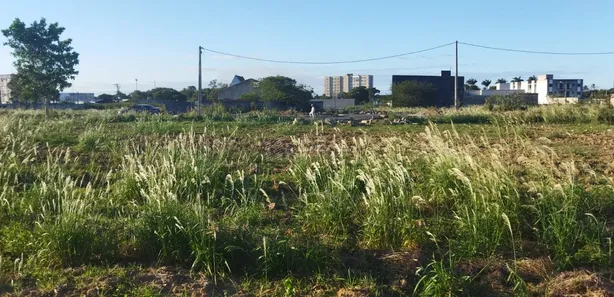 Terreno / Lote / Condomínio à venda, 674m² no Centro, Campos dos Goytacazes
