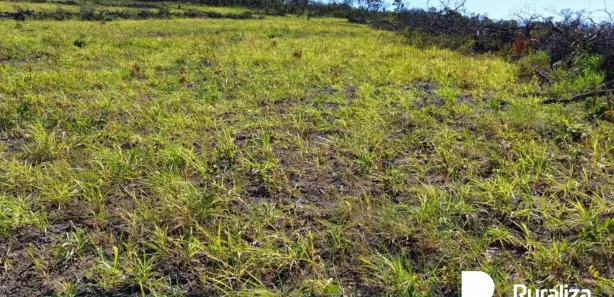 Fazenda / Sítio / Chácara à venda, 488m² no , Ponte Alta do Tocantins