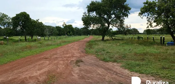 Fazenda / Sítio / Chácara à venda, 1950m² no , Paraíso do Tocantins
