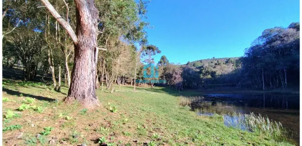 Fazenda / Sítio / Chácara à venda, 20000m² no Três Córregos, Campo Largo