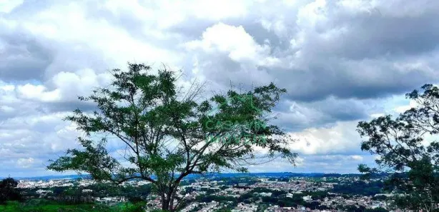 Terreno / Lote / Condomínio à venda, 255m² no Bosque, Vinhedo