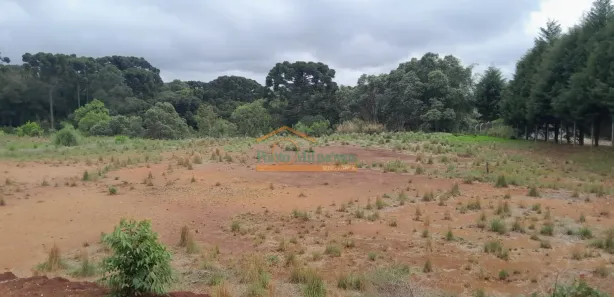 Terreno / Lote / Condomínio à venda, 22950m² no Rondinha, Campo Largo