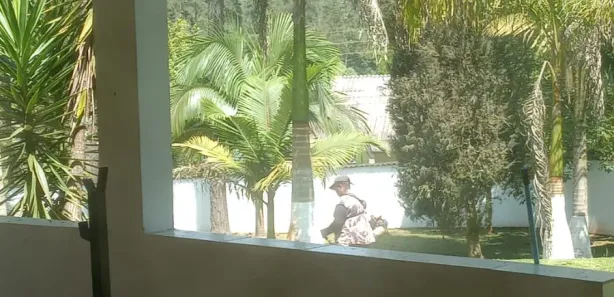 Fazenda / Sítio / Chácara com 3 Quartos à venda, 5700m² no Centro de Ouro Fino Paulista, Ribeirão Pires