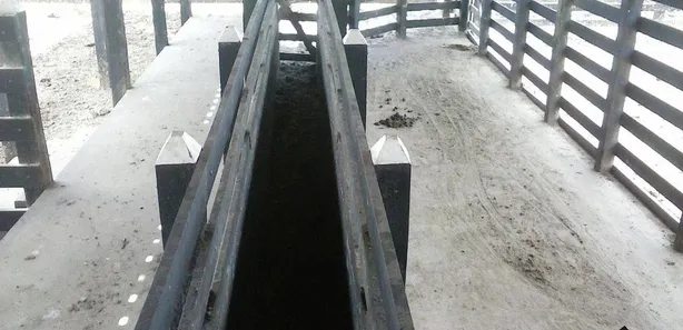 Fazenda / Sítio / Chácara com 1 Quarto à venda, 5260m² no Municípios, Santa Rita