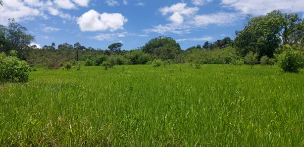 Fazenda / Sítio / Chácara com 2 Quartos à venda, 190000m² no Brazlândia, Brasília