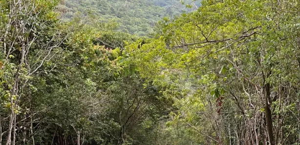 Terreno / Lote / Condomínio à venda, 100m² no , Pacoti
