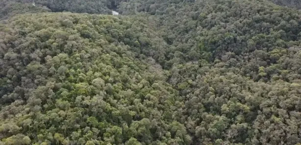 Fazenda / Sítio / Chácara à venda, 290400m² no , Antonina