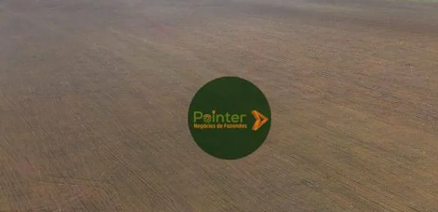 Fazenda / Sítio / Chácara à venda, 100000m² no , Pedro Afonso