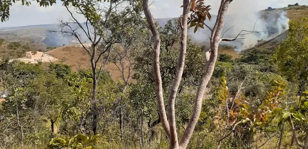 Fazenda / Sítio / Chácara à venda, 8010m² no Chácaras Quedas do Descoberto, Águas Lindas de Goiás