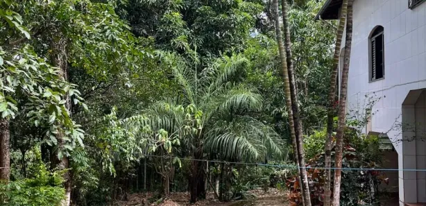 Fazenda / Sítio / Chácara com 5 Quartos à venda, 4718m² no Vale do Sol, São Joaquim de Bicas