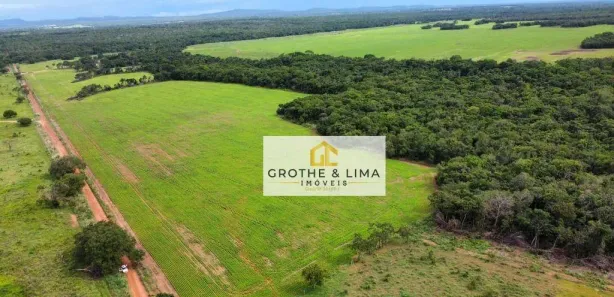 Fazenda / Sítio / Chácara com 10 Quartos à venda, 600m² no Jardim Tropical, Gurupi