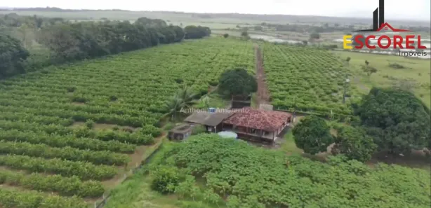 Fazenda / Sítio / Chácara com 2 Quartos à venda, 42000m² no , Alhandra