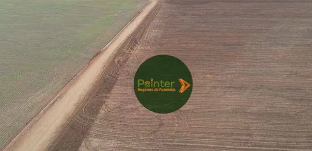 Fazenda / Sítio / Chácara à venda, 100000m² no , Pedro Afonso