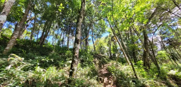 Terreno / Lote / Condomínio à venda, 63000m² no Jardim da Colina, Campina Grande do Sul