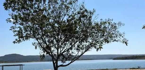Terreno / Lote / Condomínio à venda, 702m² no , Silvânia