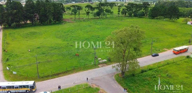 Terreno / Lote / Condomínio para alugar, 20750m² no Rio Pequeno, São José dos Pinhais