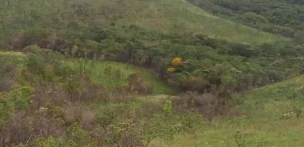 Terreno / Lote / Condomínio à venda, 300000m² no Vila Valeria, Raposos