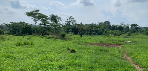 Fazenda / Sítio / Chácara à venda, 16100000m² no , Tacuru