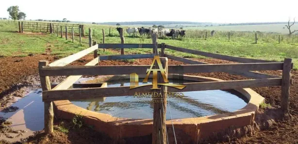 Fazenda / Sítio / Chácara com 1 Quarto à venda, 100m² no Centro, Campo Grande