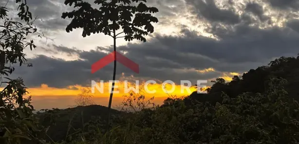 Fazenda / Sítio / Chácara com 1 Quarto à venda, 600m² no Jardim Primavera, Duque de Caxias